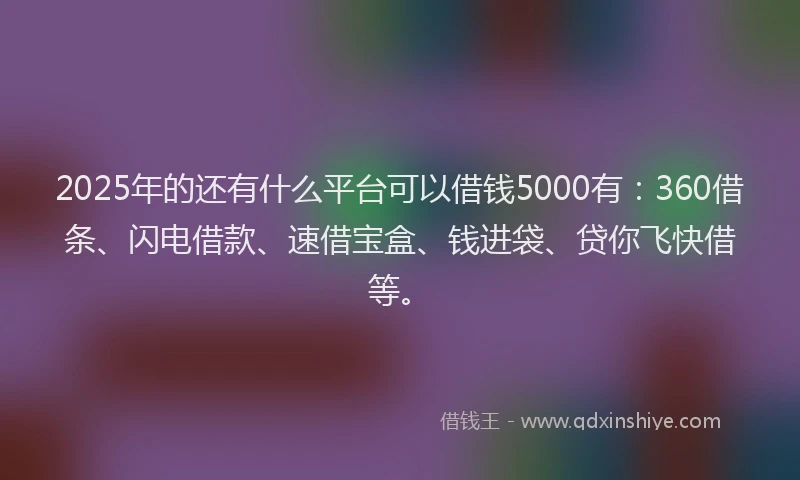 2025年的还有什么平台可以借钱5000有：360借条、闪电借款、速借宝盒、钱进袋、贷你飞快借等。