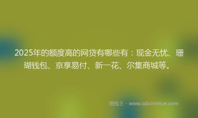 2025年的额度高的网贷有哪些有：现金无忧、珊瑚钱包、京享易付、新一花、尔集商城等。