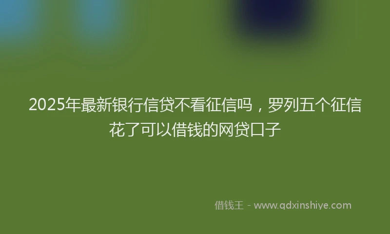 2025年最新银行信贷不看征信吗，罗列五个征信花了可以借钱的网贷口子