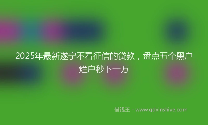 2025年最新遂宁不看征信的贷款，盘点五个黑户烂户秒下一万