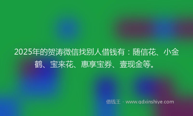 2025年的贺涛微信找别人借钱有：随信花、小金鹤、宝来花、惠享宝券、壹现金等。