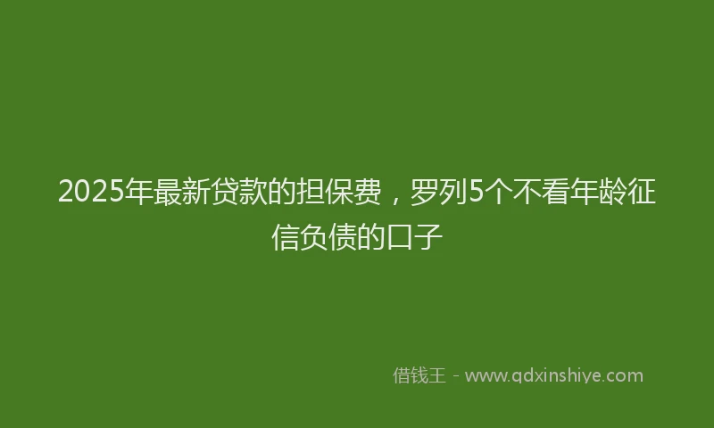 2025年最新贷款的担保费，罗列5个不看年龄征信负债的口子
