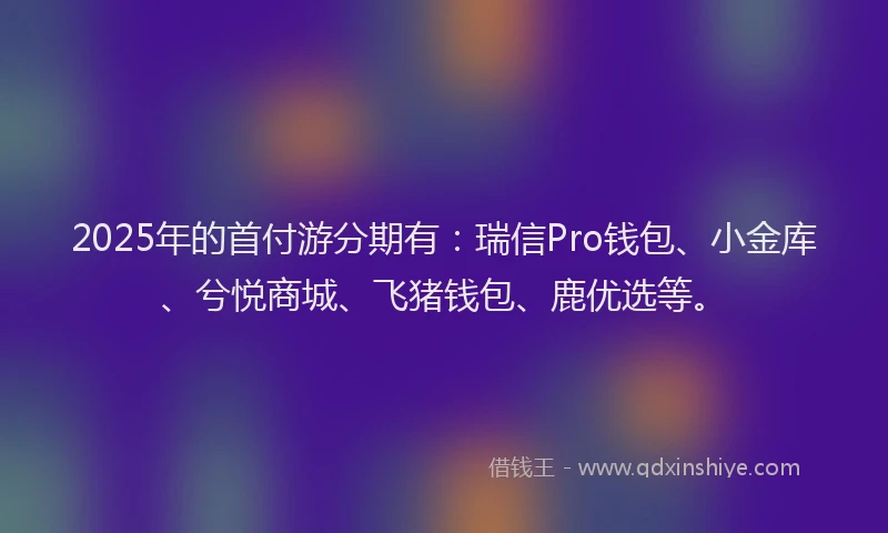 2025年的首付游分期有：瑞信Pro钱包、小金库、兮悦商城、飞猪钱包、鹿优选等。