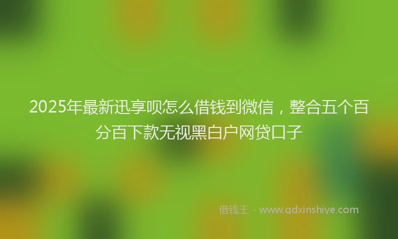 2025年最新迅享呗怎么借钱到微信，整合五个百分百下款无视黑白户网贷口子