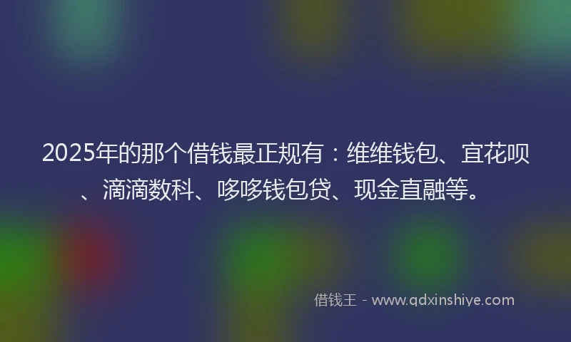 2025年的那个借钱最正规有：维维钱包、宜花呗、滴滴数科、哆哆钱包贷、现金直融等。