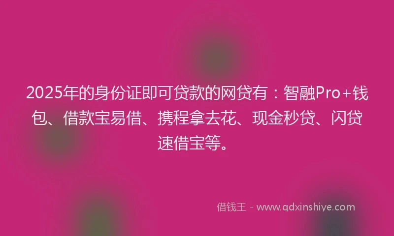 2025年的身份证即可贷款的网贷有：智融Pro+钱包、借款宝易借、携程拿去花、现金秒贷、闪贷速借宝等。