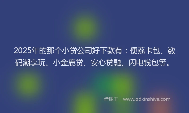 2025年的那个小贷公司好下款有：便荔卡包、数码潮享玩、小金鹿贷、安心贷融、闪电钱包等。