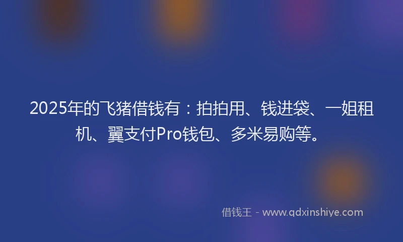 2025年的飞猪借钱有：拍拍用、钱进袋、一姐租机、翼支付Pro钱包、多米易购等。