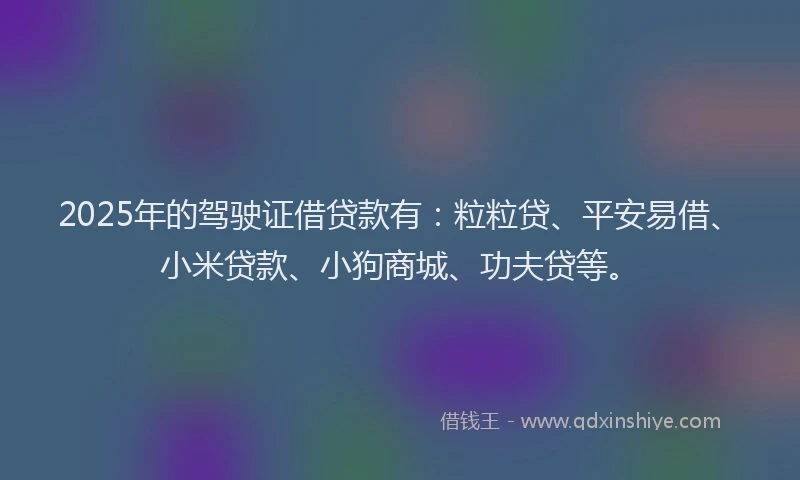 2025年的驾驶证借贷款有：粒粒贷、平安易借、小米贷款、小狗商城、功夫贷等。