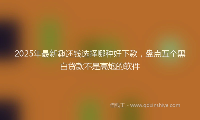 2025年最新趣还钱选择哪种好下款，盘点五个黑白贷款不是高炮的软件