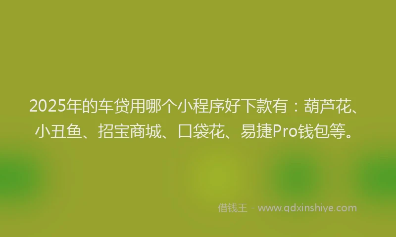 2025年的车贷用哪个小程序好下款有：葫芦花、小丑鱼、招宝商城、口袋花、易捷Pro钱包等。