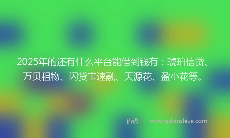 2025年的还有什么平台能借到钱有：琥珀信贷、万贝租物、闪贷宝速融、天源花、盈小花等。