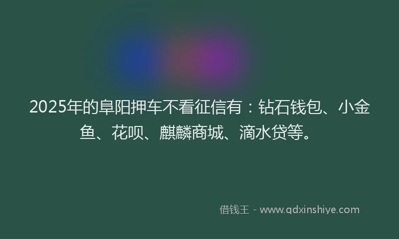2025年的阜阳押车不看征信有：钻石钱包、小金鱼、花呗、麒麟商城、滴水贷等。