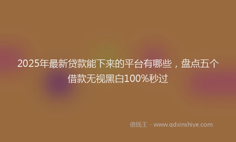 2025年最新贷款能下来的平台有哪些，盘点五个借款无视黑白100%秒过