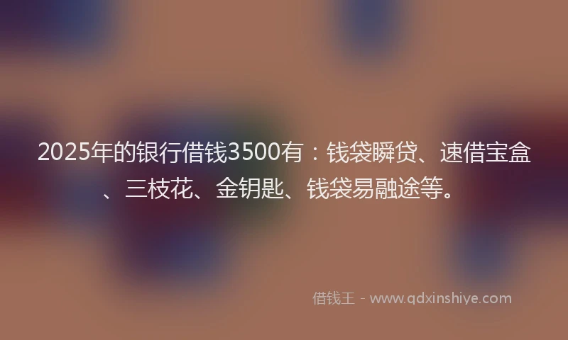 2025年的银行借钱3500有：钱袋瞬贷、速借宝盒、三枝花、金钥匙、钱袋易融途等。