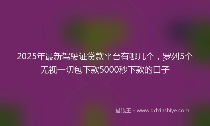2025年最新驾驶证贷款平台有哪几个，罗列5个无视一切包下款5000秒下款的口子