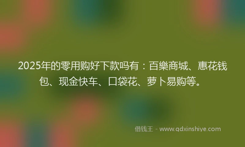 2025年的零用购好下款吗有：百樂商城、惠花钱包、现金快车、口袋花、萝卜易购等。