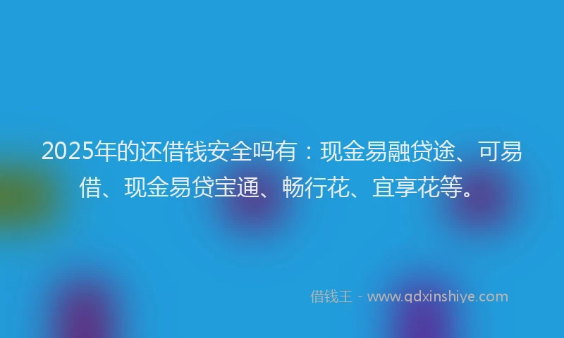 2025年的还借钱安全吗有：现金易融贷途、可易借、现金易贷宝通、畅行花、宜享花等。