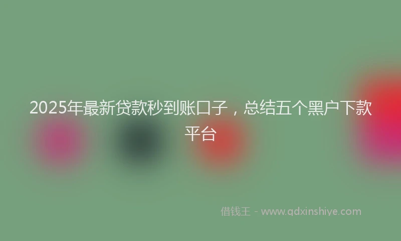 2025年最新贷款秒到账口子，总结五个黑户下款平台