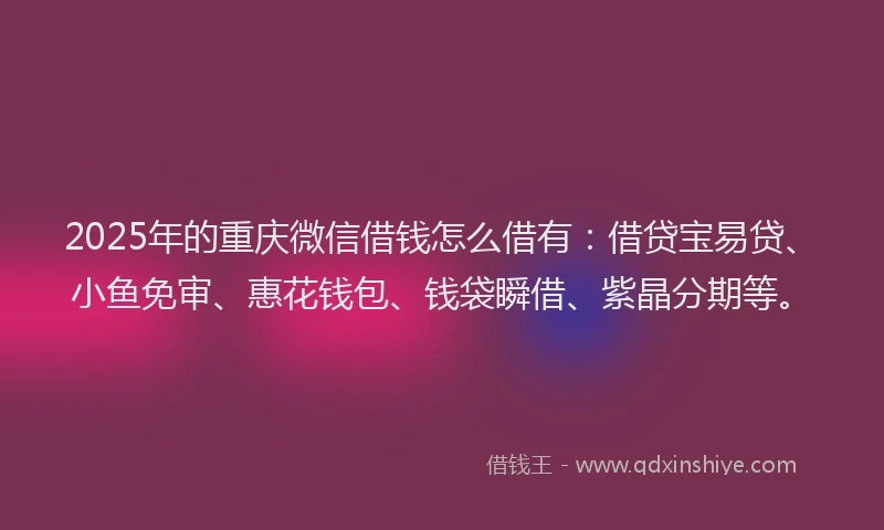 2025年的重庆微信借钱怎么借有：借贷宝易贷、小鱼免审、惠花钱包、钱袋瞬借、紫晶分期等。