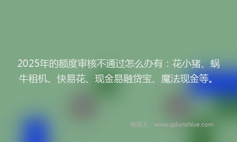 2025年的额度审核不通过怎么办有：花小猪、蜗牛租机、快易花、现金易融贷宝、魔法现金等。