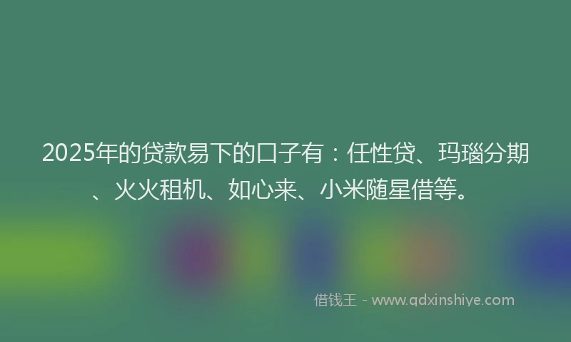 2025年的贷款易下的口子有：任性贷、玛瑙分期、火火租机、如心来、小米随星借等。