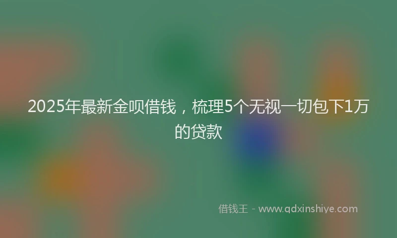 2025年最新金呗借钱，梳理5个无视一切包下1万的贷款