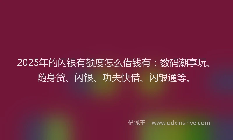 2025年的闪银有额度怎么借钱有：数码潮享玩、随身贷、闪银、功夫快借、闪银通等。