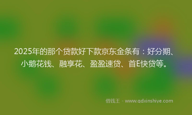 2025年的那个贷款好下款京东金条有：好分期、小鹅花钱、融享花、盈盈速贷、首E快贷等。