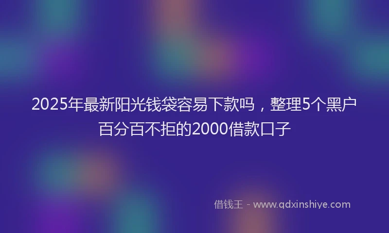 2025年最新阳光钱袋容易下款吗，整理5个黑户百分百不拒的2000借款口子