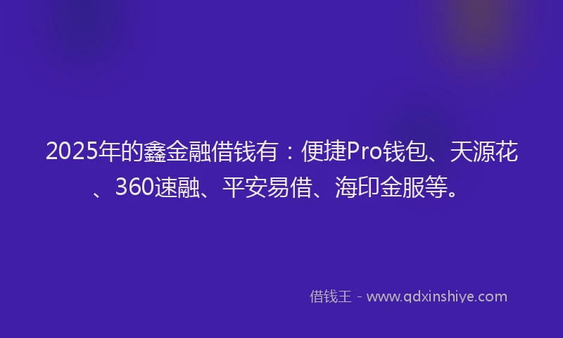 2025年的鑫金融借钱有：便捷Pro钱包、天源花、360速融、平安易借、海印金服等。