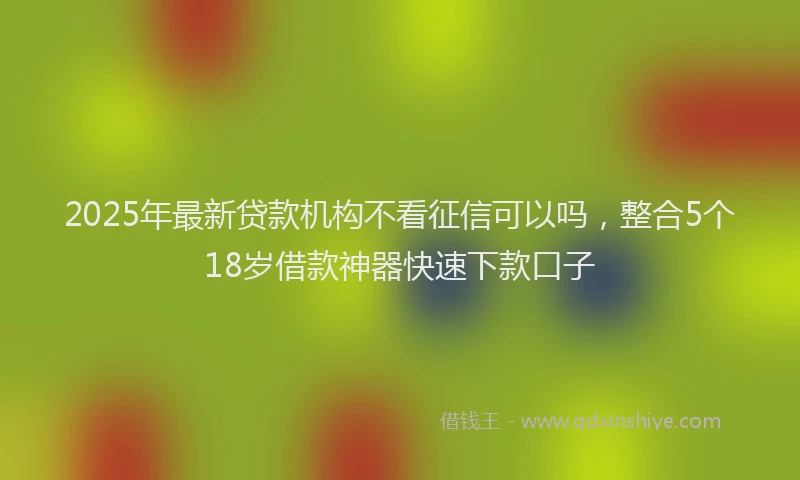 2025年最新贷款机构不看征信可以吗，整合5个18岁借款神器快速下款口子