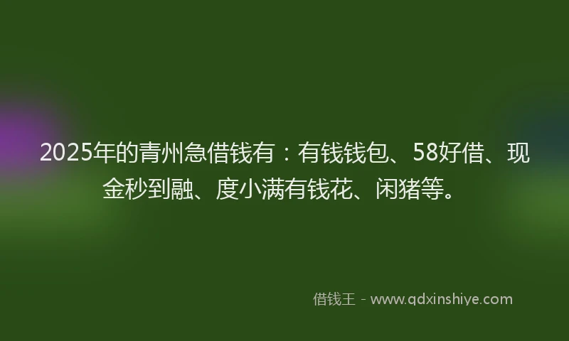 2025年的青州急借钱有：有钱钱包、58好借、现金秒到融、度小满有钱花、闲猪等。
