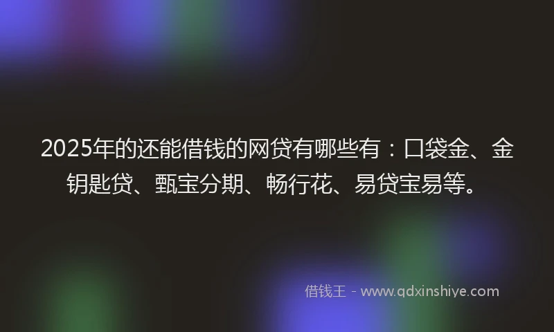 2025年的还能借钱的网贷有哪些有：口袋金、金钥匙贷、甄宝分期、畅行花、易贷宝易等。
