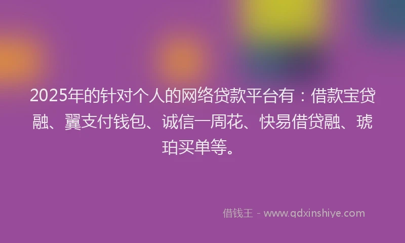 2025年的针对个人的网络贷款平台有：借款宝贷融、翼支付钱包、诚信一周花、快易借贷融、琥珀买单等。
