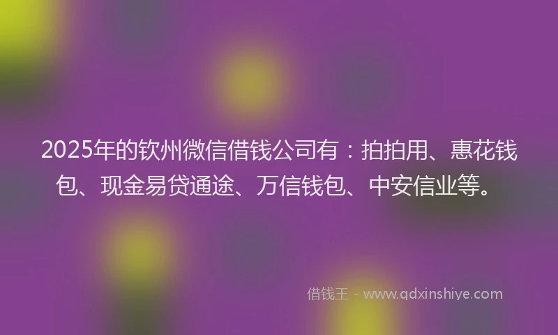 2025年的钦州微信借钱公司有：拍拍用、惠花钱包、现金易贷通途、万信钱包、中安信业等。