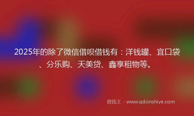 2025年的除了微信借呗借钱有：洋钱罐、宜口袋、分乐购、天美贷、鑫享租物等。