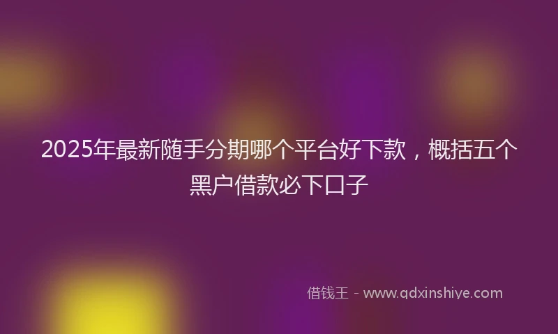 2025年最新随手分期哪个平台好下款，概括五个黑户借款必下口子