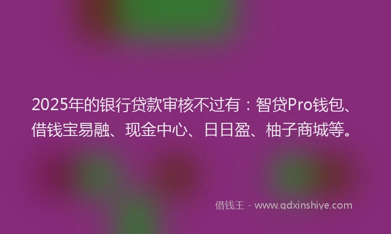 2025年的银行贷款审核不过有：智贷Pro钱包、借钱宝易融、现金中心、日日盈、柚子商城等。
