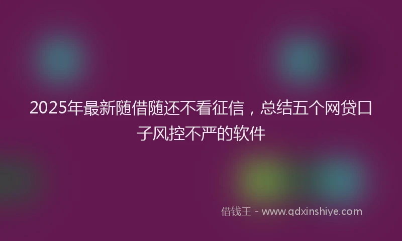 2025年最新随借随还不看征信,总结五个网贷口子风控不严的软件