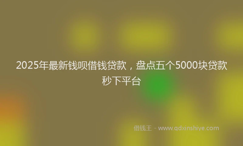 2025年最新钱呗借钱贷款，盘点五个5000块贷款秒下平台