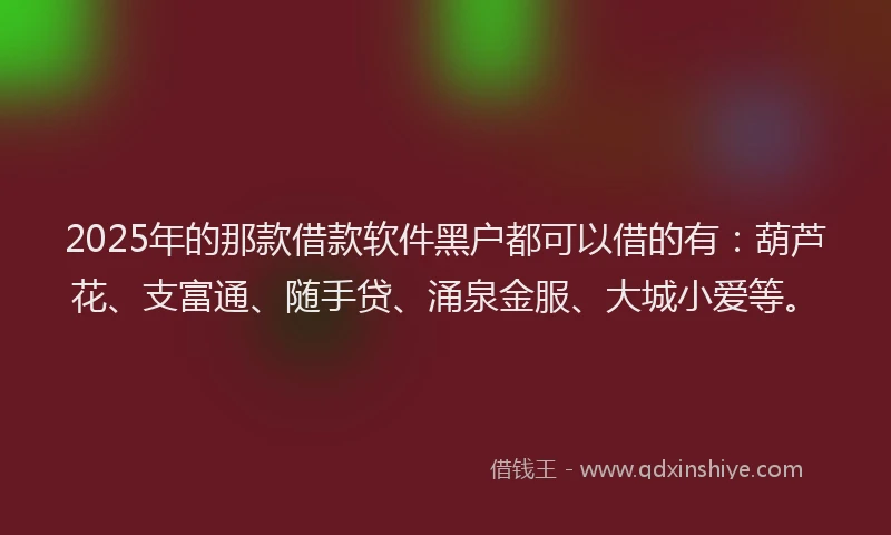 2025年的那款借款软件黑户都可以借的有：葫芦花、支富通、随手贷、涌泉金服、大城小爱等。
