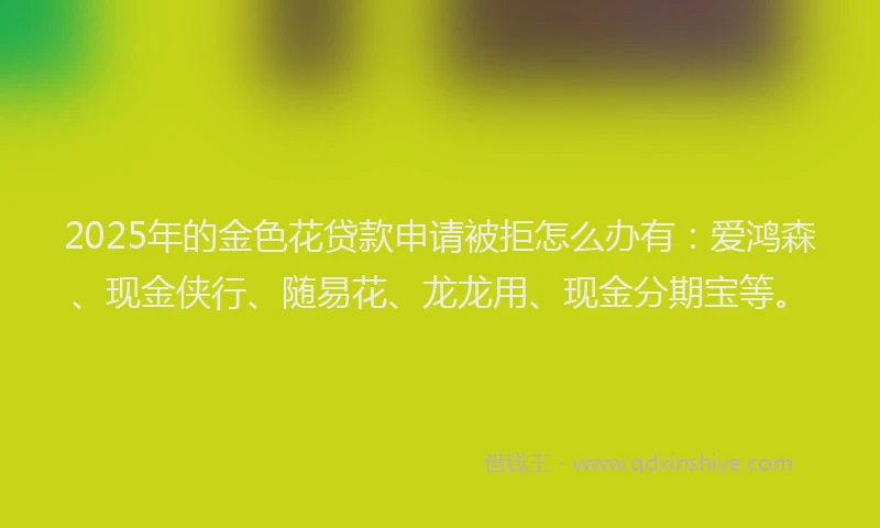2025年的金色花贷款申请被拒怎么办有：爱鸿森、现金侠行、随易花、龙龙用、现金分期宝等。