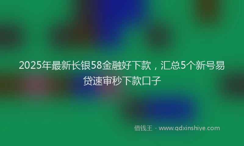 2025年最新长银58金融好下款，汇总5个新号易贷速审秒下款口子