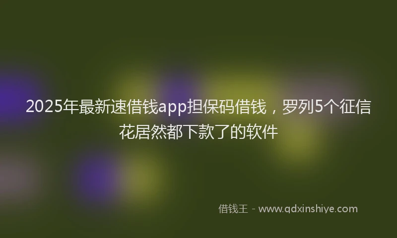 2025年最新速借钱app担保码借钱，罗列5个征信花居然都下款了的软件