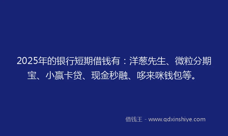2025年的银行短期借钱有：洋葱先生、微粒分期宝、小赢卡贷、现金秒融、哆来咪钱包等。