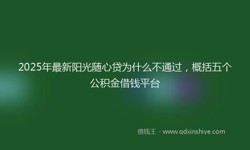 2025年最新阳光随心贷为什么不通过，概括五个公积金借钱平台