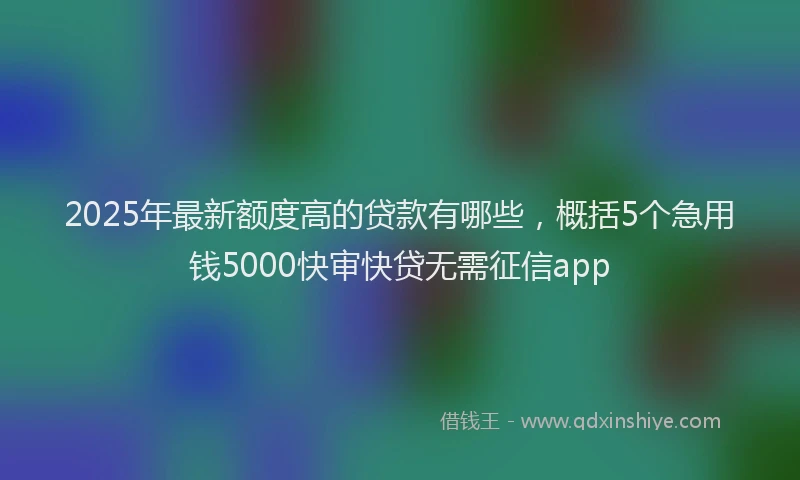 2025年最新额度高的贷款有哪些，概括5个急用钱5000快审快贷无需征信app