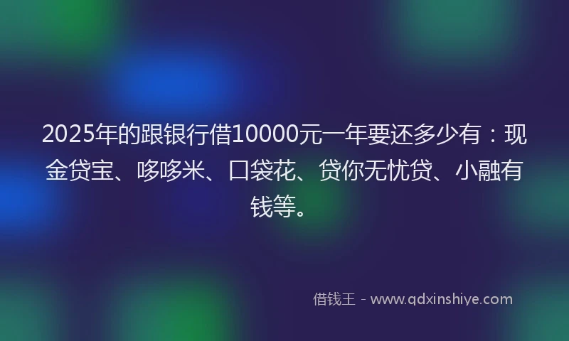 2025年的跟银行借10000元一年要还多少有：现金贷宝、哆哆米、口袋花、贷你无忧贷、小融有钱等。