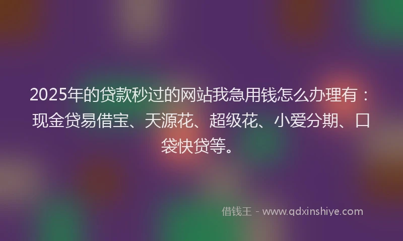 2025年的贷款秒过的网站我急用钱怎么办理有：现金贷易借宝、天源花、超级花、小爱分期、口袋快贷等。
